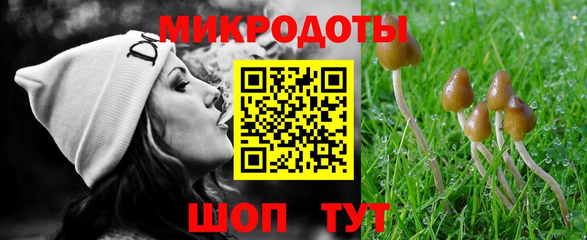 Баксан  Псилоцибиновые грибы прущие грибы  Вход с VPN  Галлюциногенные грибы Cubensis 